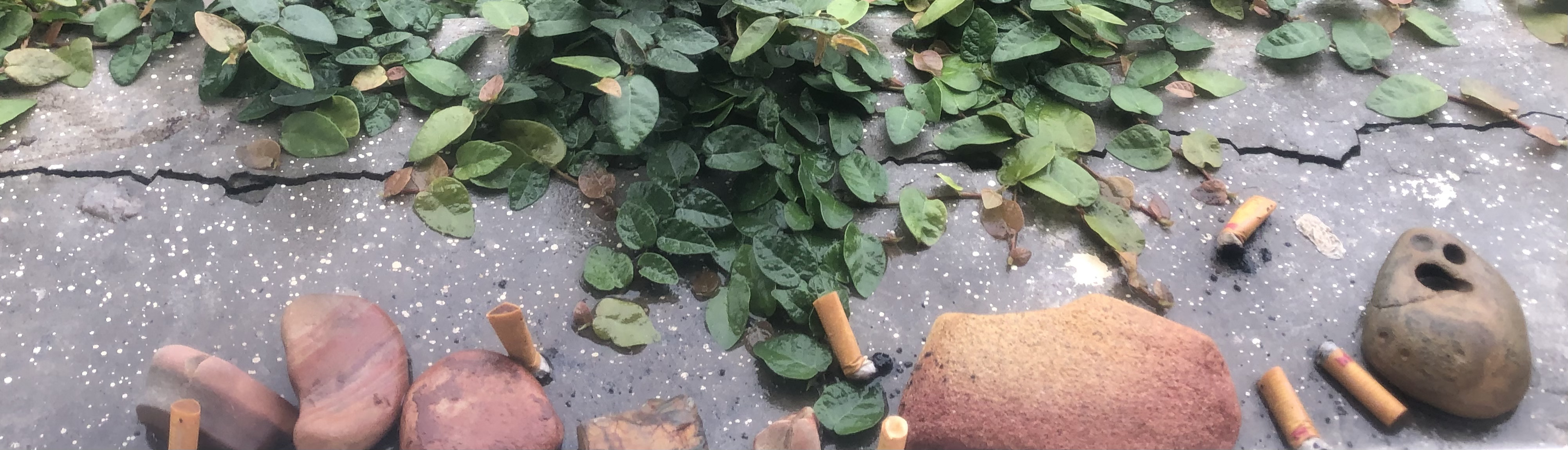 windowsill with beach rocks, cigarretes, leaves, after rain